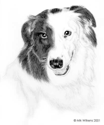 Rhodie